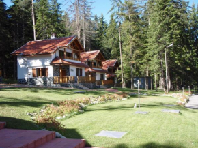 Отель Saint George Holiday Village, Боровец